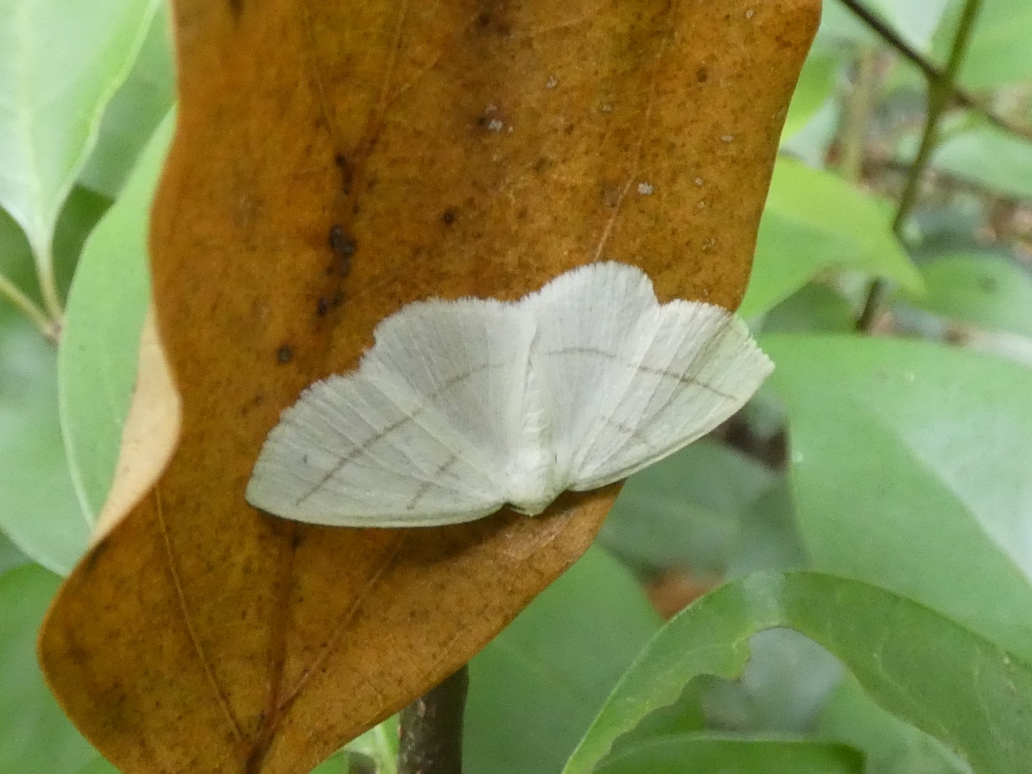 photo_1